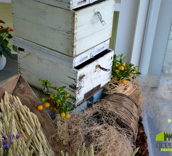 Χανιά Κατασκευή Κήπων Μελέτη Επίβλεψη Συντήρηση Διακόσμηση