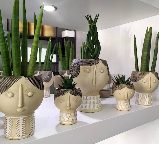 Χανιά Κατασκευή Κήπων Μελέτη Επίβλεψη Συντήρηση Διακόσμηση