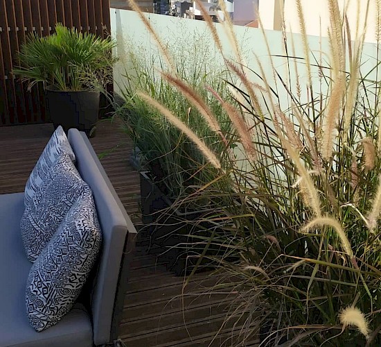 Χανιά Κατασκευή Κήπων Μελέτη Επίβλεψη Συντήρηση Διακόσμηση