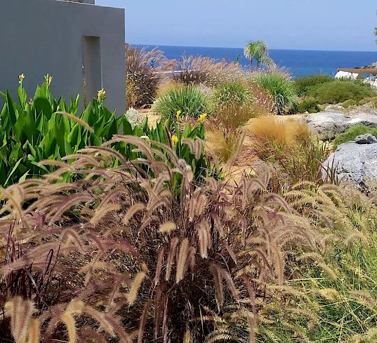 Χανιά Κατασκευή Κήπων Μελέτη Επίβλεψη Συντήρηση Διακόσμηση