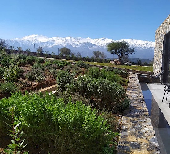 Χανιά Κατασκευή Κήπων Μελέτη Επίβλεψη Συντήρηση Διακόσμηση