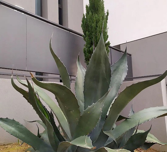 Χανιά Κατασκευή Κήπων Μελέτη Επίβλεψη Συντήρηση Διακόσμηση