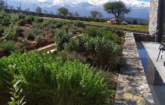 Συντήρηση κήπου, σωστή και εξειδικευμένη συντήρηση του κήπου σας