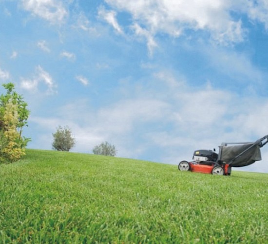 Χανιά Κατασκευή Κήπων Μελέτη Επίβλεψη Συντήρηση Διακόσμηση