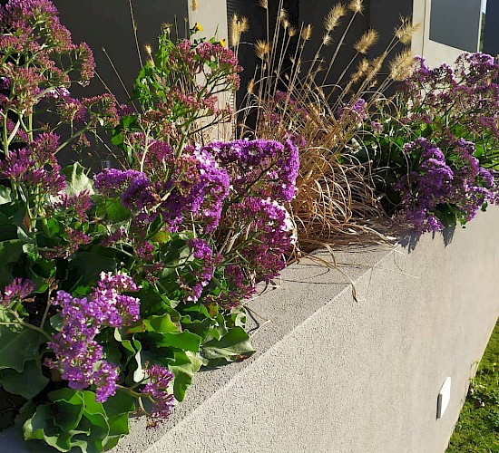 Χανιά Κατασκευή Κήπων Μελέτη Επίβλεψη Συντήρηση Διακόσμηση