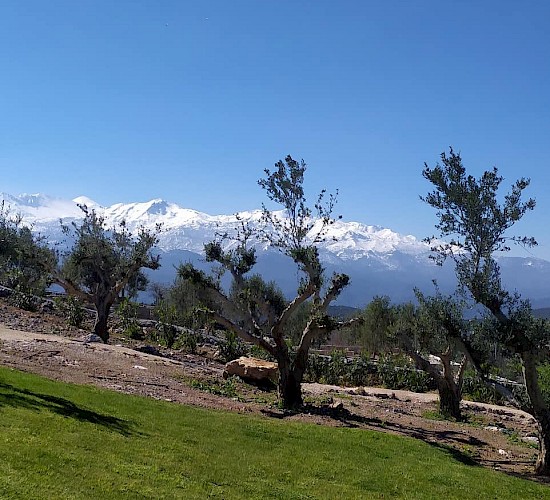 Χανιά Κατασκευή Κήπων Μελέτη Επίβλεψη Συντήρηση Διακόσμηση