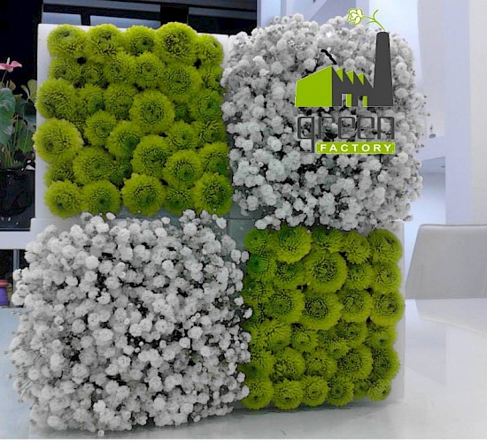 Χανιά Κατασκευή Κήπων Μελέτη Επίβλεψη Συντήρηση Διακόσμηση