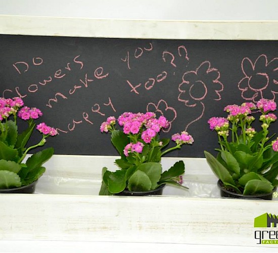 Χανιά Κατασκευή Κήπων Μελέτη Επίβλεψη Συντήρηση Διακόσμηση