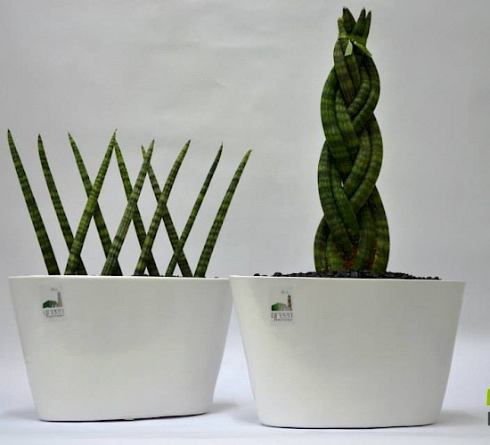 Χανιά Κατασκευή Κήπων Μελέτη Επίβλεψη Συντήρηση Διακόσμηση