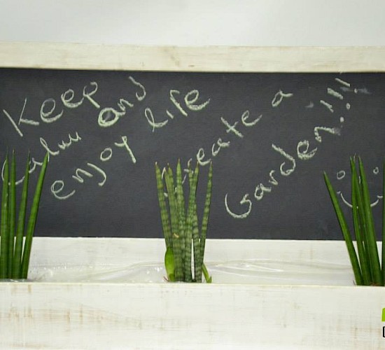 Χανιά Κατασκευή Κήπων Μελέτη Επίβλεψη Συντήρηση Διακόσμηση