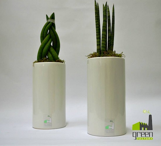 Χανιά Κατασκευή Κήπων Μελέτη Επίβλεψη Συντήρηση Διακόσμηση