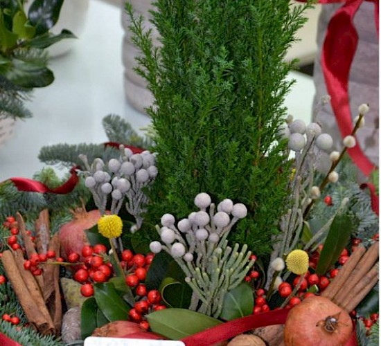 Χανιά Κατασκευή Κήπων Μελέτη Επίβλεψη Συντήρηση Διακόσμηση