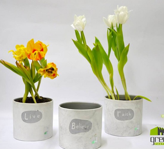 Χανιά Κατασκευή Κήπων Μελέτη Επίβλεψη Συντήρηση Διακόσμηση