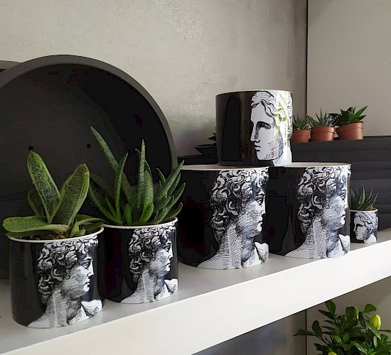 Χανιά Κατασκευή Κήπων Μελέτη Επίβλεψη Συντήρηση Διακόσμηση