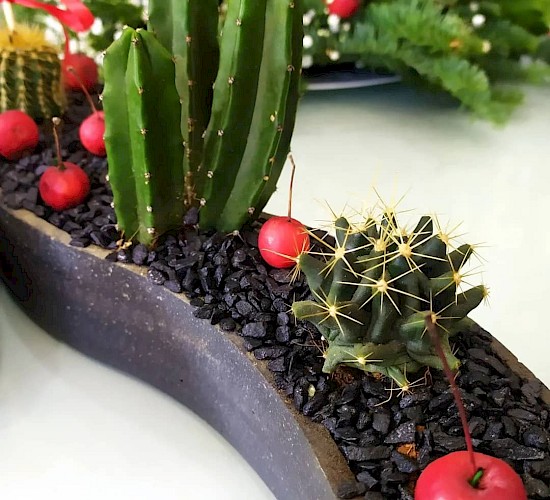 Χανιά Κατασκευή Κήπων Μελέτη Επίβλεψη Συντήρηση Διακόσμηση