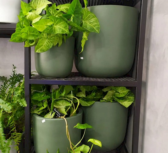 Χανιά Κατασκευή Κήπων Μελέτη Επίβλεψη Συντήρηση Διακόσμηση