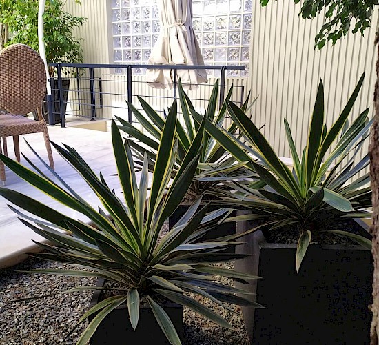 Χανιά Κατασκευή Κήπων Μελέτη Επίβλεψη Συντήρηση Διακόσμηση