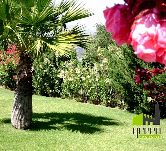 Χανιά Κατασκευή Κήπων Μελέτη Επίβλεψη Συντήρηση Διακόσμηση