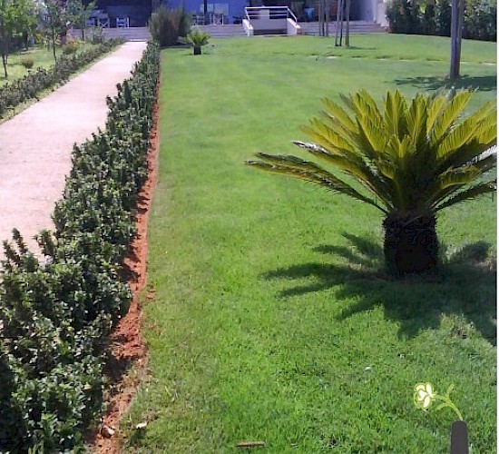 Χανιά Κατασκευή Κήπων Μελέτη Επίβλεψη Συντήρηση Διακόσμηση