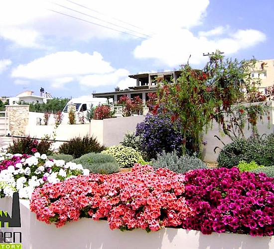 Χανιά Κατασκευή Κήπων Μελέτη Επίβλεψη Συντήρηση Διακόσμηση