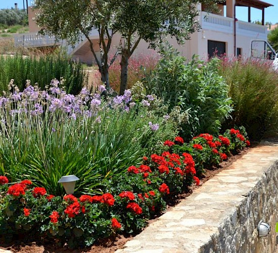 Χανιά Κατασκευή Κήπων Μελέτη Επίβλεψη Συντήρηση Διακόσμηση
