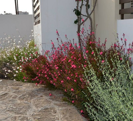 Χανιά Κατασκευή Κήπων Μελέτη Επίβλεψη Συντήρηση Διακόσμηση