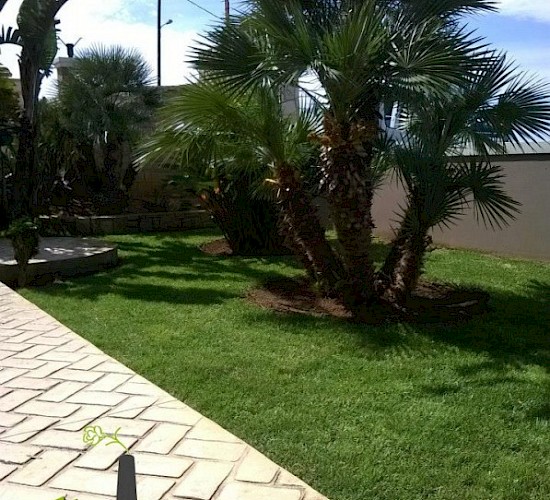 Χανιά Κατασκευή Κήπων Μελέτη Επίβλεψη Συντήρηση Διακόσμηση