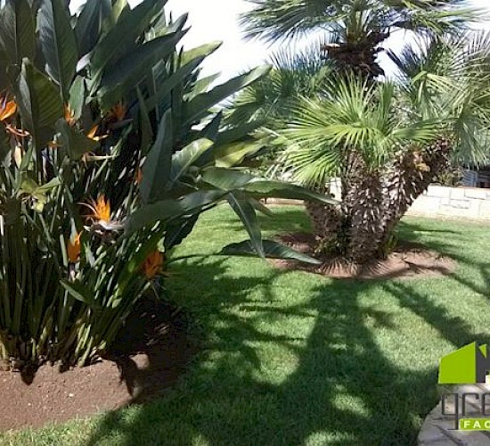 Χανιά Κατασκευή Κήπων Μελέτη Επίβλεψη Συντήρηση Διακόσμηση