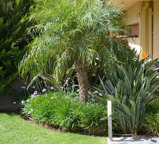 Χανιά Κατασκευή Κήπων Μελέτη Επίβλεψη Συντήρηση Διακόσμηση