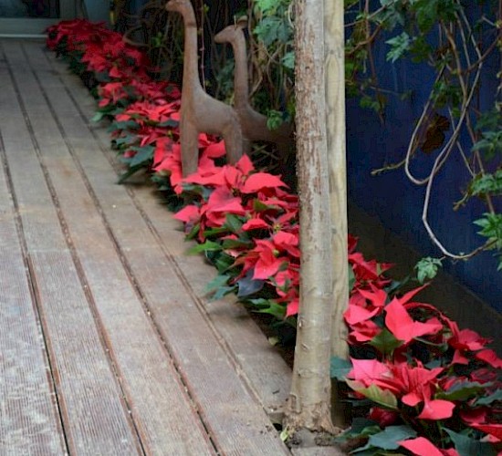 Χανιά Κατασκευή Κήπων Μελέτη Επίβλεψη Συντήρηση Διακόσμηση