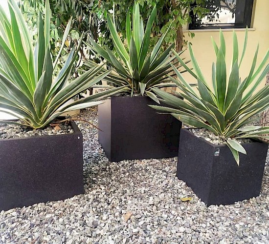 Χανιά Κατασκευή Κήπων Μελέτη Επίβλεψη Συντήρηση Διακόσμηση