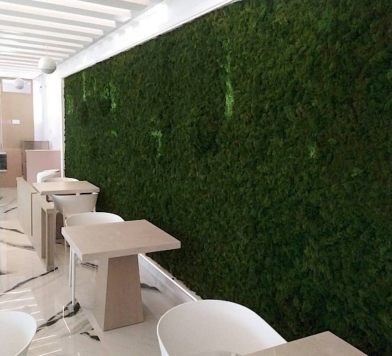 Χανιά Κατασκευή Κήπων Μελέτη Επίβλεψη Συντήρηση Διακόσμηση