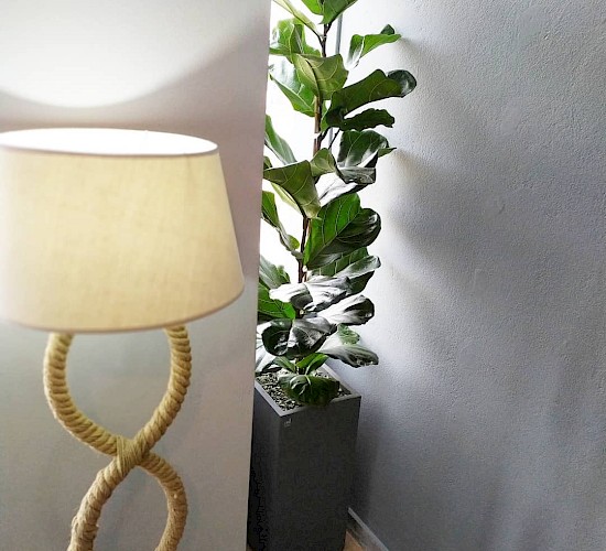 Χανιά Κατασκευή Κήπων Μελέτη Επίβλεψη Συντήρηση Διακόσμηση