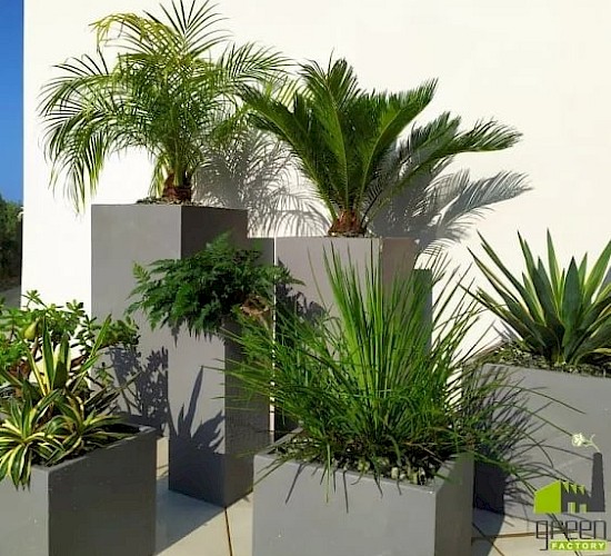 Χανιά Κατασκευή Κήπων Μελέτη Επίβλεψη Συντήρηση Διακόσμηση