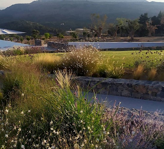 Χανιά Κατασκευή Κήπων Μελέτη Επίβλεψη Συντήρηση Διακόσμηση