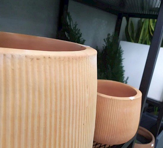 Χανιά Κατασκευή Κήπων Μελέτη Επίβλεψη Συντήρηση Διακόσμηση