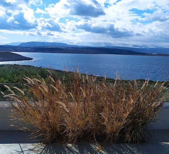 Χανιά Κατασκευή Κήπων Μελέτη Επίβλεψη Συντήρηση Διακόσμηση