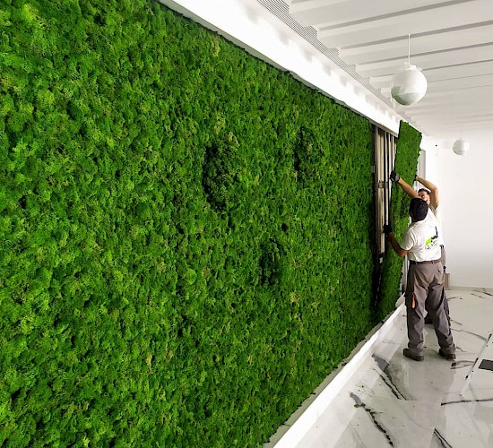 Χανιά Κατασκευή Κήπων Μελέτη Επίβλεψη Συντήρηση Διακόσμηση