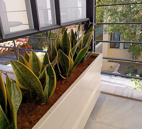 Χανιά Κατασκευή Κήπων Μελέτη Επίβλεψη Συντήρηση Διακόσμηση