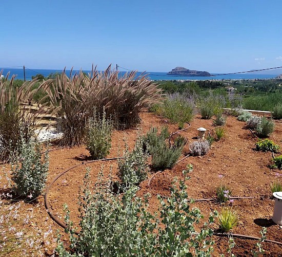 Χανιά Κατασκευή Κήπων Μελέτη Επίβλεψη Συντήρηση Διακόσμηση